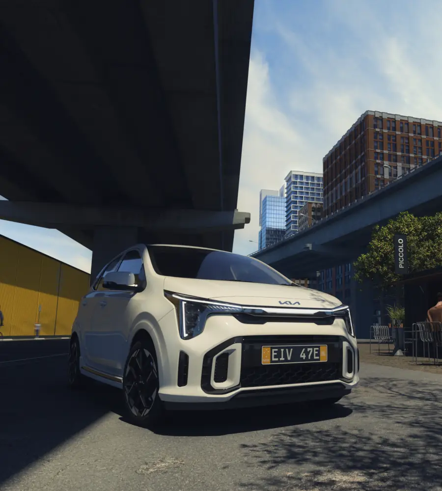 banner picanto m