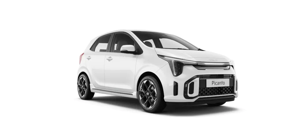 picanto clear white