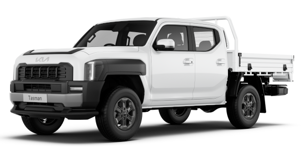 tasman clear white