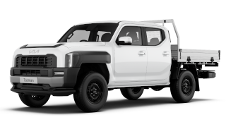 tasman dcc s