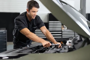 Kia Fleet Benefits Cps